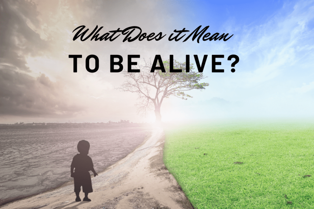 What Does It Mean To Be ALIVE? 8 to be alive